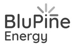 /clients-logos/21aprbluepine.jpeg
